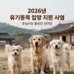 유실유기동물 입양비 지원 2026 2026년 유실 유기동물 입양비 지원 사업 안내 이미지