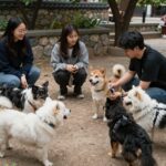 아산시 반려동물문화교육에서 반려견과 함께 펫티켓을 배우는 모습
