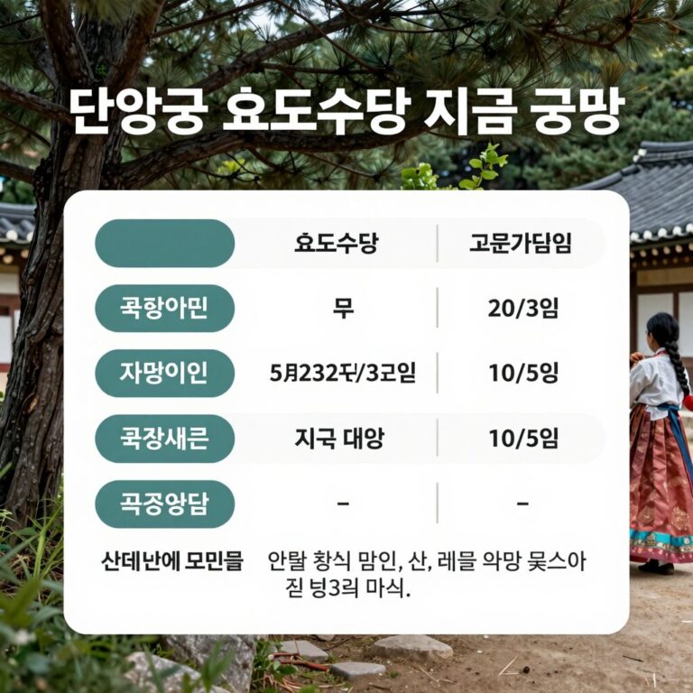 단양군 효도수당 지원 대상과 지급 금액을 한눈에 보여주는 그래픽 이미지