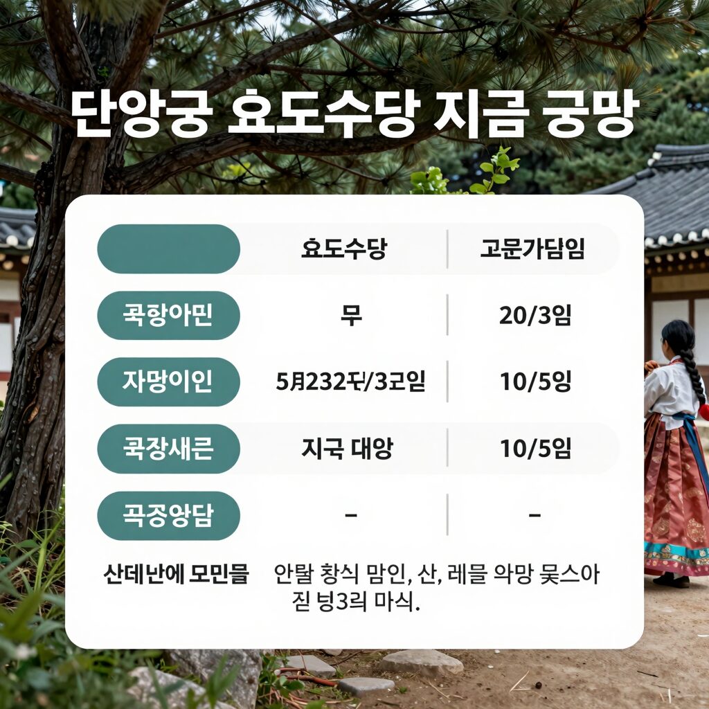 단양군 효도수당 지원 대상과 지급 금액을 한눈에 보여주는 그래픽 이미지
