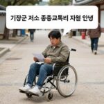 기장군 저소득 중증장애인 교통비 3만원 지원 기장군 저소득 중증장애인 교통비 지원 신청 안내 이미지