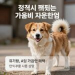 정읍시 펫보험 가입비 지원사업 안내 이미지, 유기견 입양 후 보험 지원 혜택