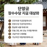 단양군 장수수당 조건 및 신청 단양군 장수수당 지급 대상과 신청 방법을 설명하는 안내 이미지