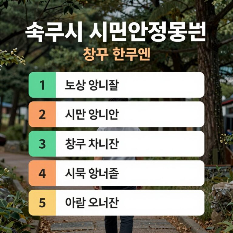속초시 시민안전보험 홍보 이미지로 보상 항목과 청구 방법을 요약한 그래픽